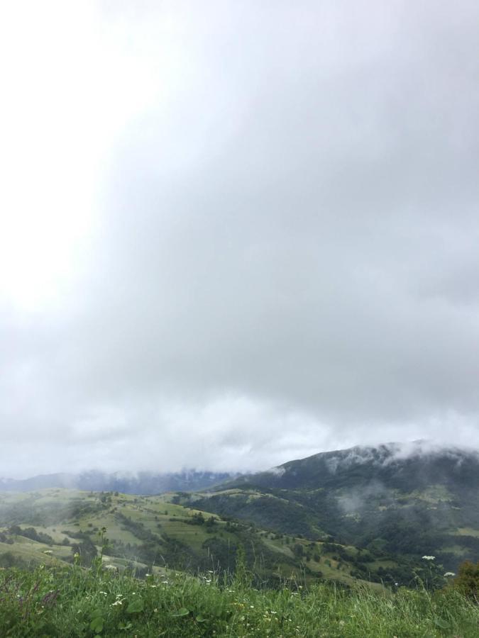 Садиба Between Mountains Mizhhirya  Exteriör bild
