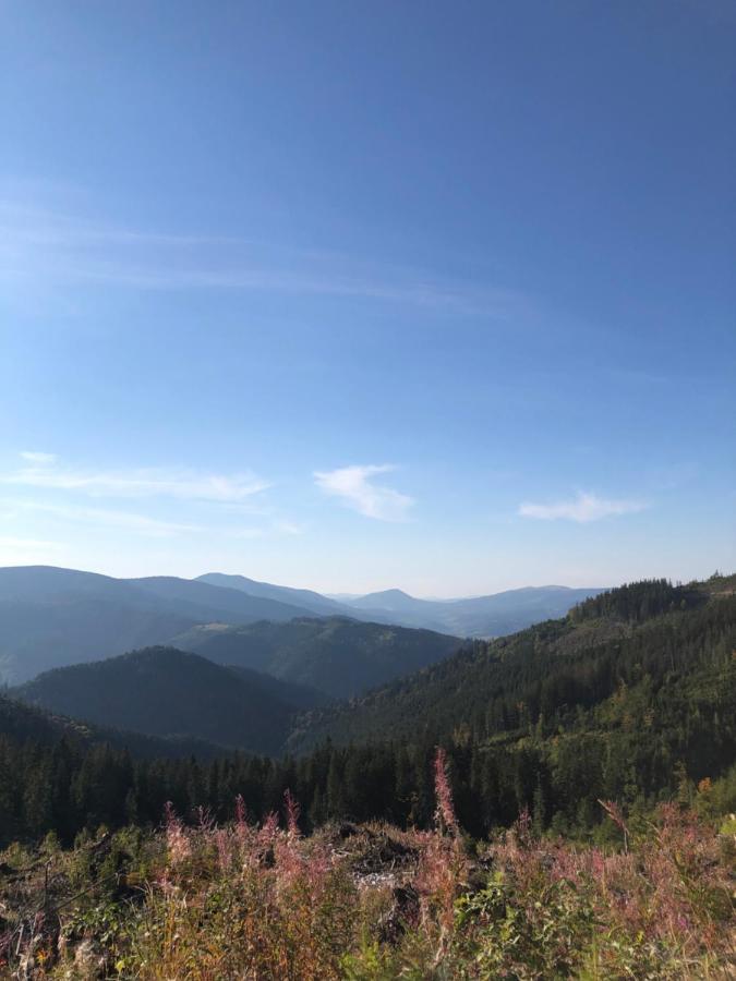 Садиба Between Mountains Mizhhirya  Exteriör bild