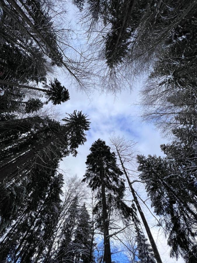 Садиба Between Mountains Mizhhirya  Exteriör bild