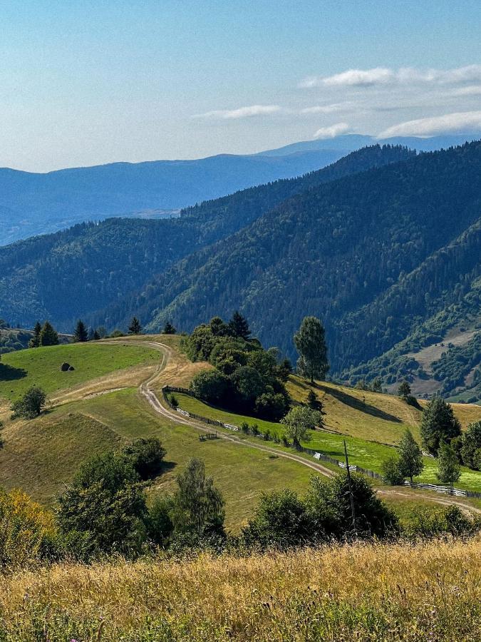 Садиба Between Mountains Mizhhirya  Exteriör bild