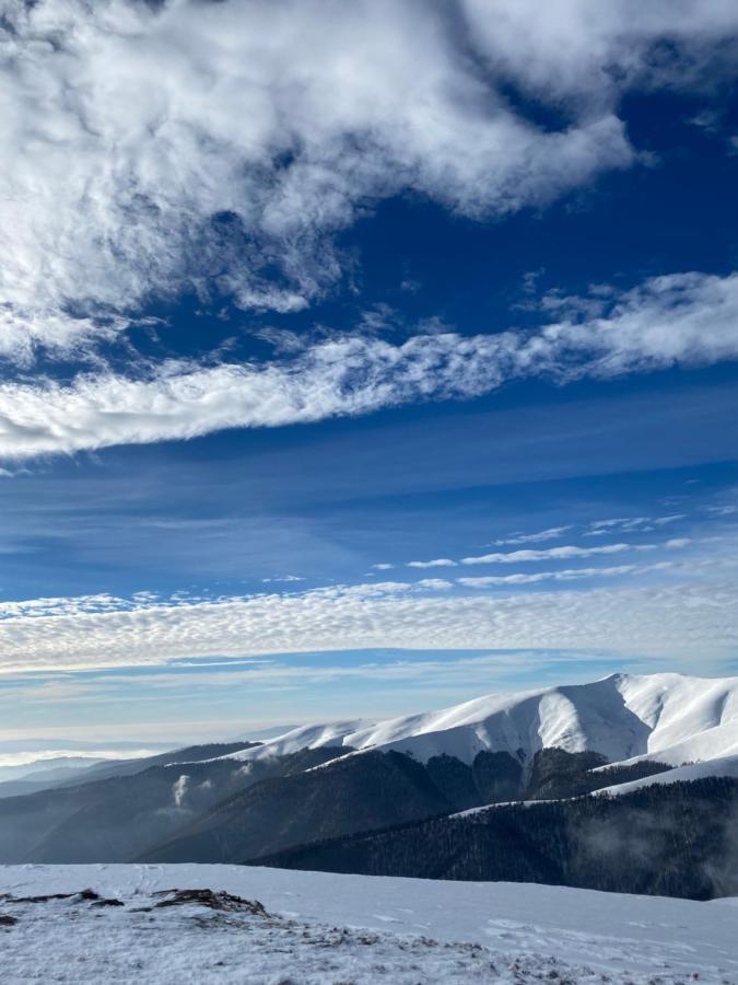 Садиба Between Mountains Mizhhirya  Exteriör bild