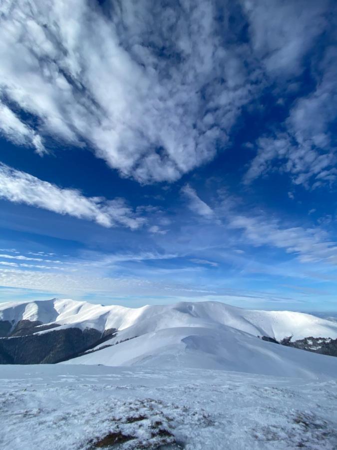 Садиба Between Mountains Mizhhirya  Exteriör bild
