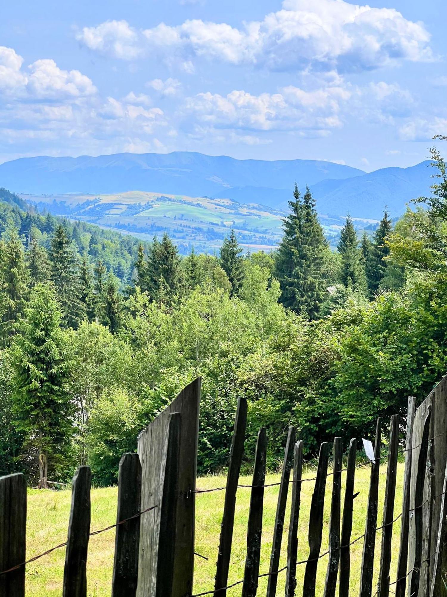 Садиба Between Mountains Mizhhirya  Exteriör bild