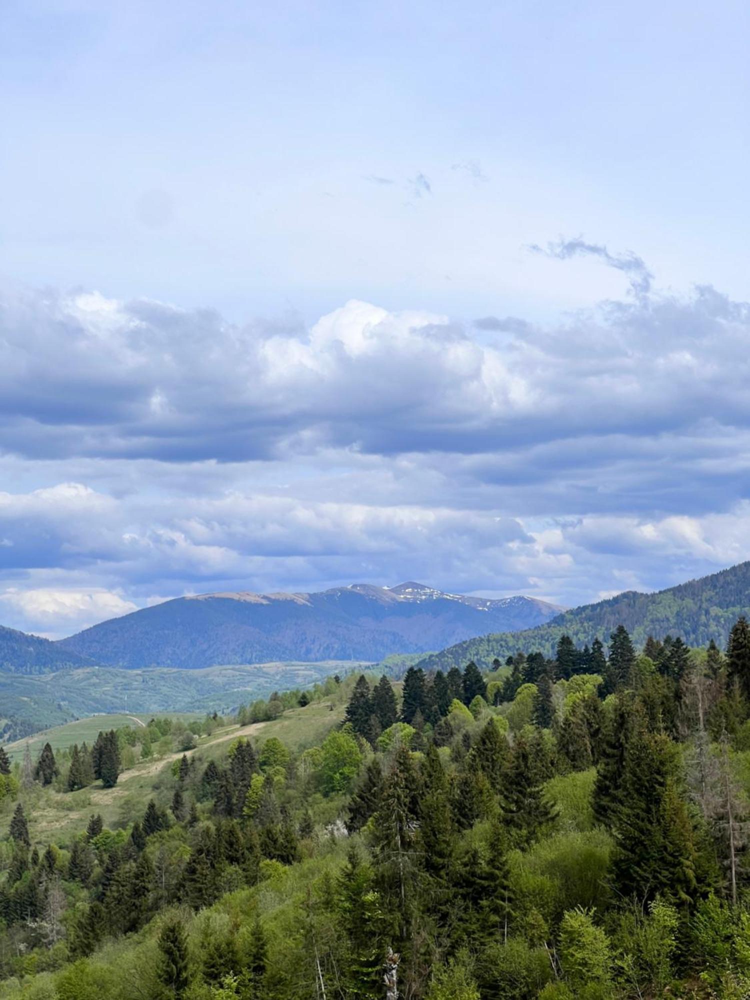 Садиба Between Mountains Mizhhirya  Exteriör bild